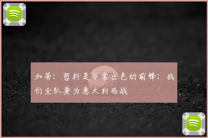 加蒂：哲科是非常出色的前锋；我们全队要为意大利而战