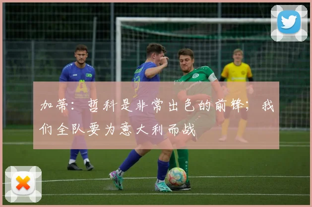 加蒂：哲科是非常出色的前锋；我们全队要为意大利而战