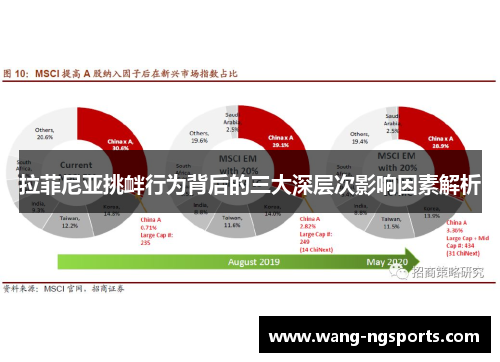 拉菲尼亚挑衅行为背后的三大深层次影响因素解析