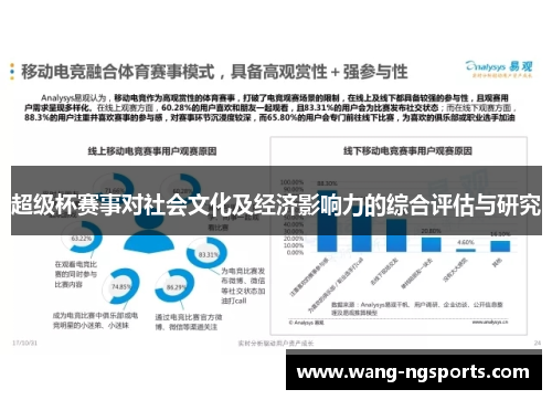 超级杯赛事对社会文化及经济影响力的综合评估与研究