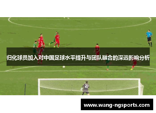 归化球员加入对中国足球水平提升与团队融合的深远影响分析