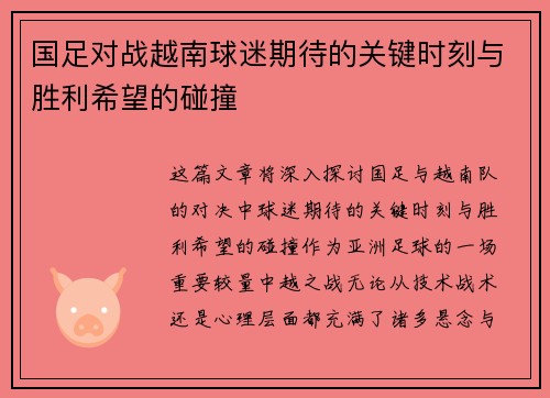 国足对战越南球迷期待的关键时刻与胜利希望的碰撞